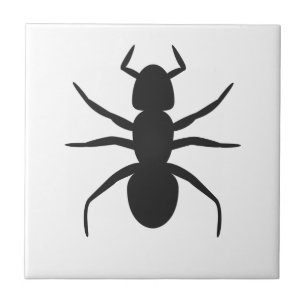 Azulejo Ant