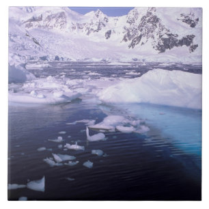 Azulejo Antártida. Expedición a través de fugas
