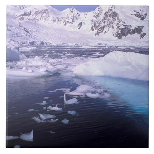 Azulejo Antártida. Expedición a través de fugas (Frente)