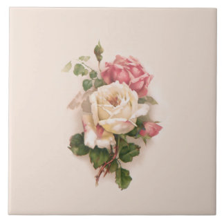 Azulejo Antecedentes de rosas blancas/rosadas anticuadas