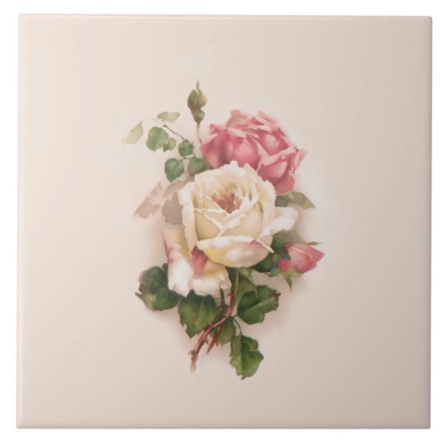 Azulejo Antecedentes de rosas blancas/rosadas anticuadas (Frente)