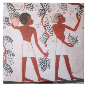 AZULEJO ANTIGUA COSECHA VINEYARD EGYPTIAN VINEYARD