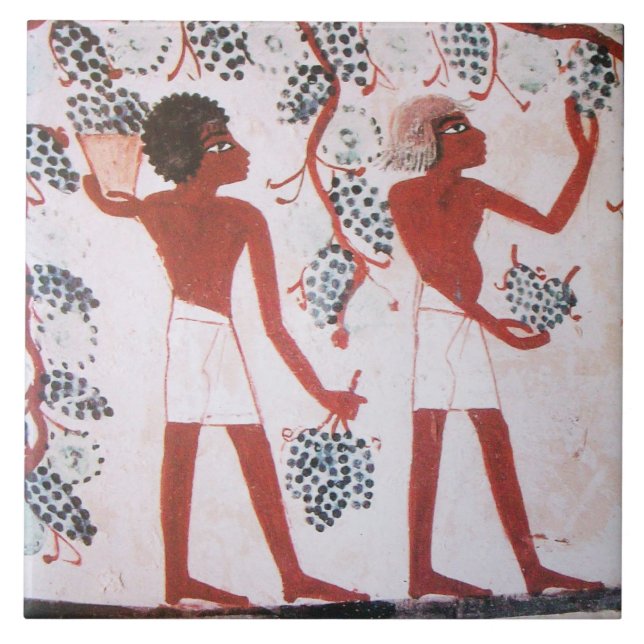 AZULEJO ANTIGUA COSECHA VINEYARD EGYPTIAN VINEYARD (Frente)