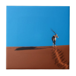 Azulejo Antílope del Oryx en el desierto de Namib