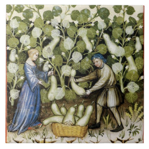 AZULEJO ANTIQUE SQUASH HARVEST