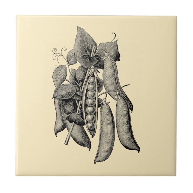 Azulejo Anuncio de marea vegetal y fruta de la era victori (Frente)