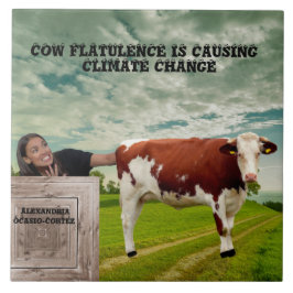 AZULEJO AOC-CLIMATE CHANGE*