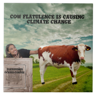 AZULEJO AOC-CLIMATE CHANGE*