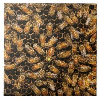 Azulejo Apiario - Abeja - Un saludo a la reina