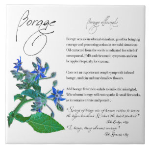 Azulejo Apothecary: Borage   Mosaico cerámico