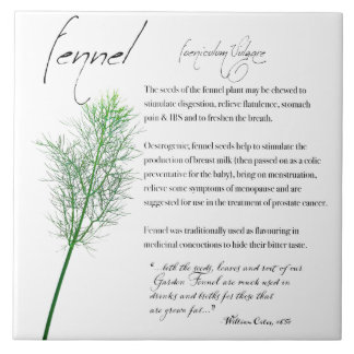 Azulejo Apothecary: Fennel | Mosaico cerámico