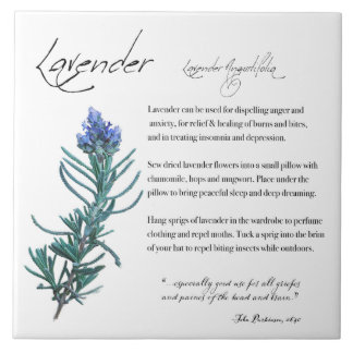 Azulejo Apothecary: Lavender | Mosaico cerámico