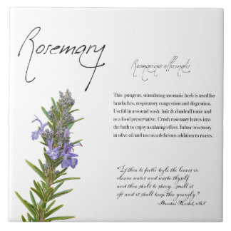 Azulejo Apothecary: Rosemary | Mosaico Botánico