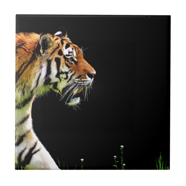 Azulejo Aproximación de tigres - Arte de animales salvajes (Frente)