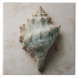 Azulejo Aqua and Sand Coastal Conch Shell