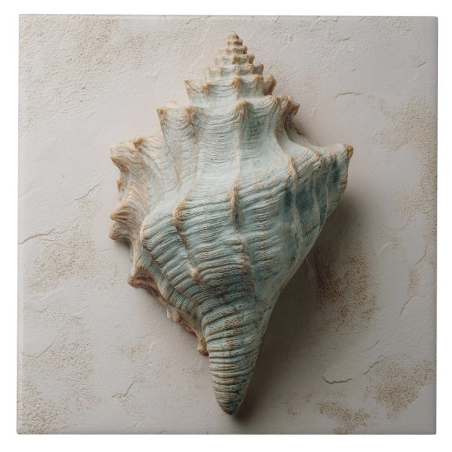 Azulejo Aqua and Sand Coastal Conch Shell (Frente)