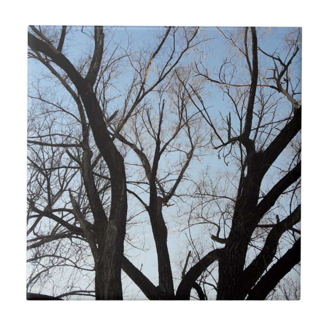 Azulejo Árbol (Frente)