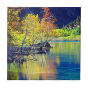 Azulejo Árbol de Aspen en otoño reflejándose en el lago Gr