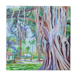 Azulejo Árbol de Banyan en las plantaciones de Waimea
