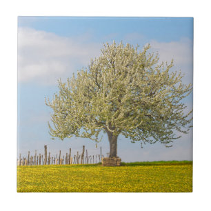 Azulejo Árbol de cerezo en primavera