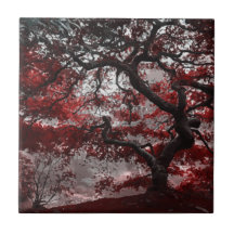 Árbol de cerezo rojo