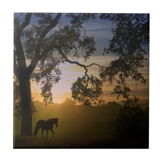 Azulejo Árbol de encino y encino del Suroeste (Frente)