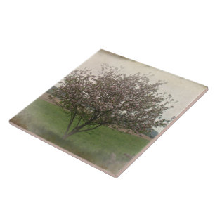 Azulejo Árbol de manzanas en flor