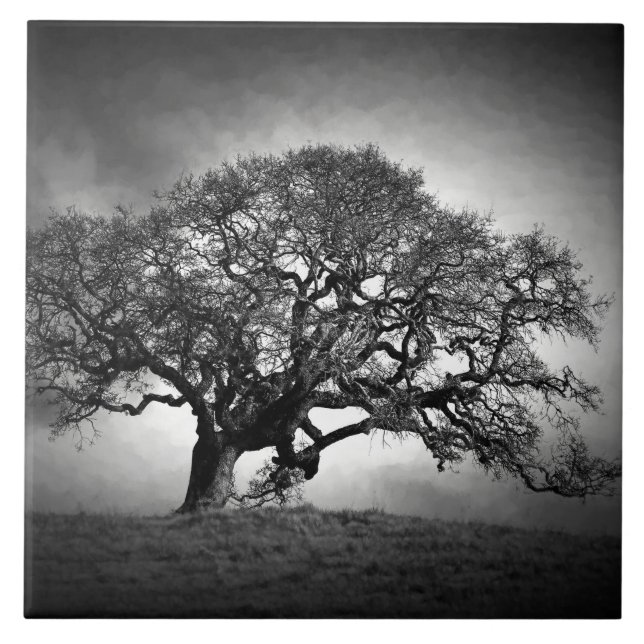 AZULEJO ÁRBOL DE OAK DE PRÉSTAMO (Frente)
