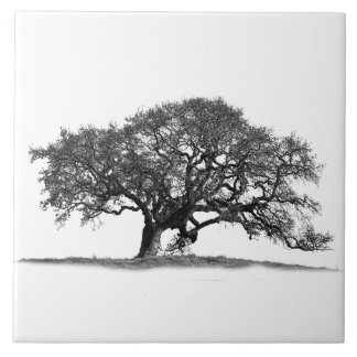 AZULEJO ÁRBOL DE OAK EN BLANCO