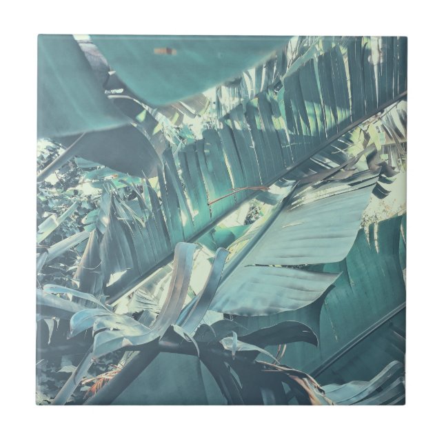 Azulejo Árbol de plátano de las vibraciones de verano deja (Frente)