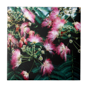 Azulejo Árbol de seda