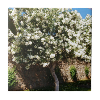Azulejo Árbol del jazmín en la floración