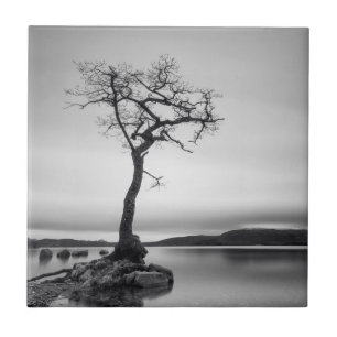 Azulejo Árbol desnudo solo