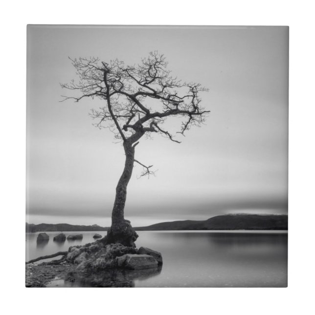 Azulejo Árbol desnudo solo (Frente)