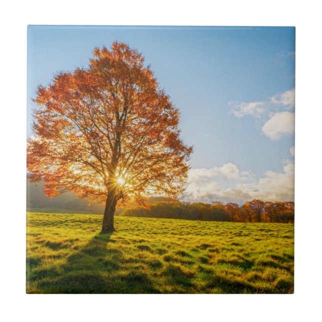 Azulejo Árbol en el fuego (Frente)