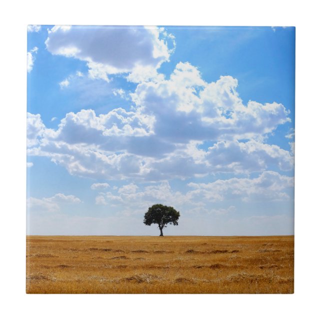 Azulejo Árbol en un campo de trigo cosechado (Frente)