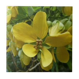 Azulejo Árbol Floral Amarillo Tropical Lluvia de Oro