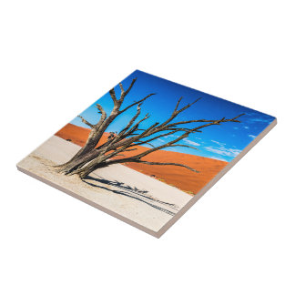 Azulejo Árbol muerto en Deadvlei, Namibia