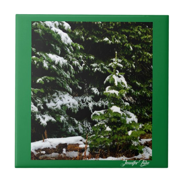 Azulejo Árbol solitario (Frente)