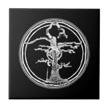 Árbol viejo aleteado