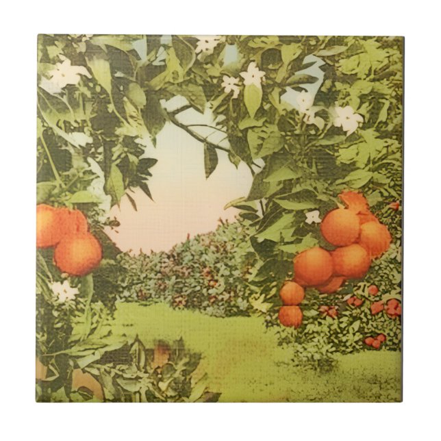 Azulejo Arboleda de Naranja Vintage (Frente)