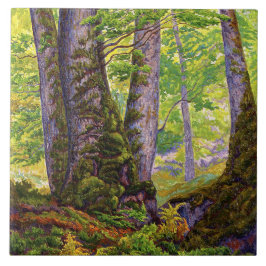 Azulejo Árboles de haya en el bosque (bosques) (Paul Ranso