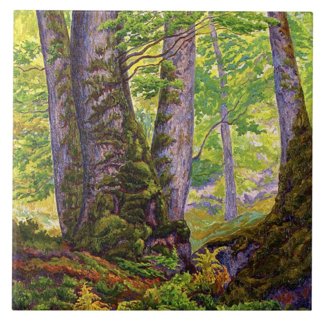 Azulejo Árboles de haya en el bosque (bosques) (Paul Ranso (Frente)