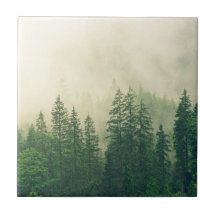 Árboles de invierno del bosque brumoso