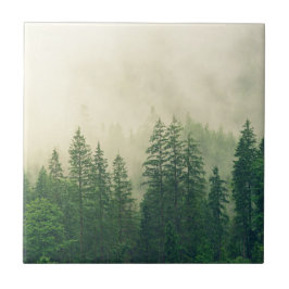 Azulejo Árboles de invierno del bosque brumoso