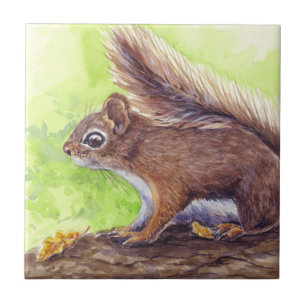 Azulejo Ardilla