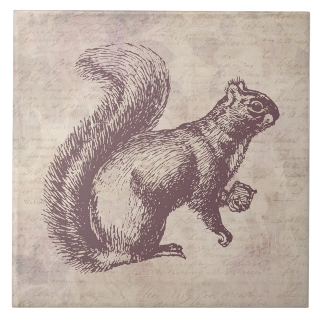 Azulejo Ardilla con estilo de escritura floral de estilo A (Frente)