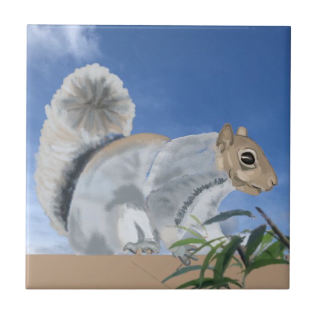 Azulejo Ardilla en la cubierta cerámica del campo (Frente)