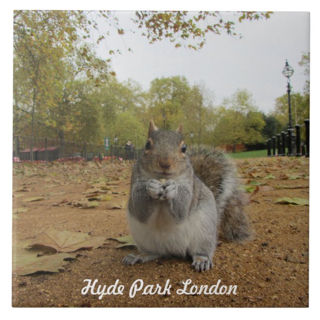 Azulejo Ardilla gris Hyde Park Londres. (Frente)
