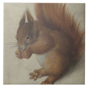 Azulejo ardilla roja (por Hans Hoffmann)
